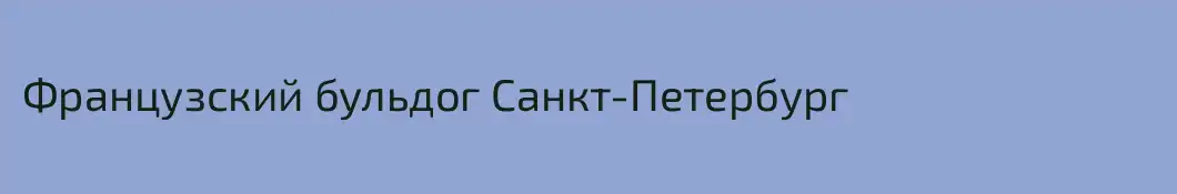 Французский бульдог Санкт-Петербург